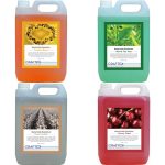 Craftex Cherry Twist Bactericidal Deodoriser 5L