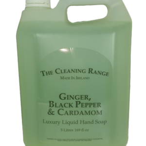 Cleanfast Ginger, Black Pepper & Cardamom Hand Soap