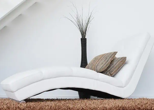 Professional Carpet and Upholstery Care